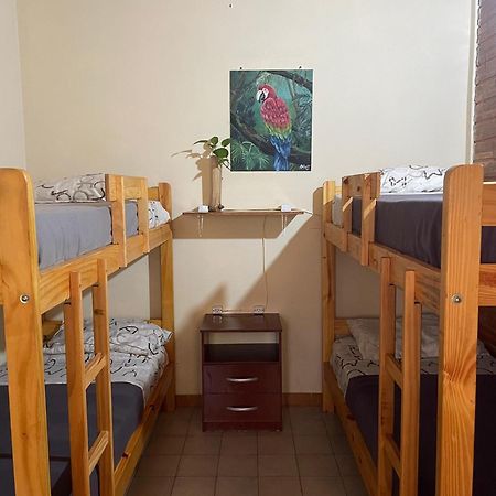 Bungalow Hostel Iguazu Puerto Iguazu Bagian luar foto