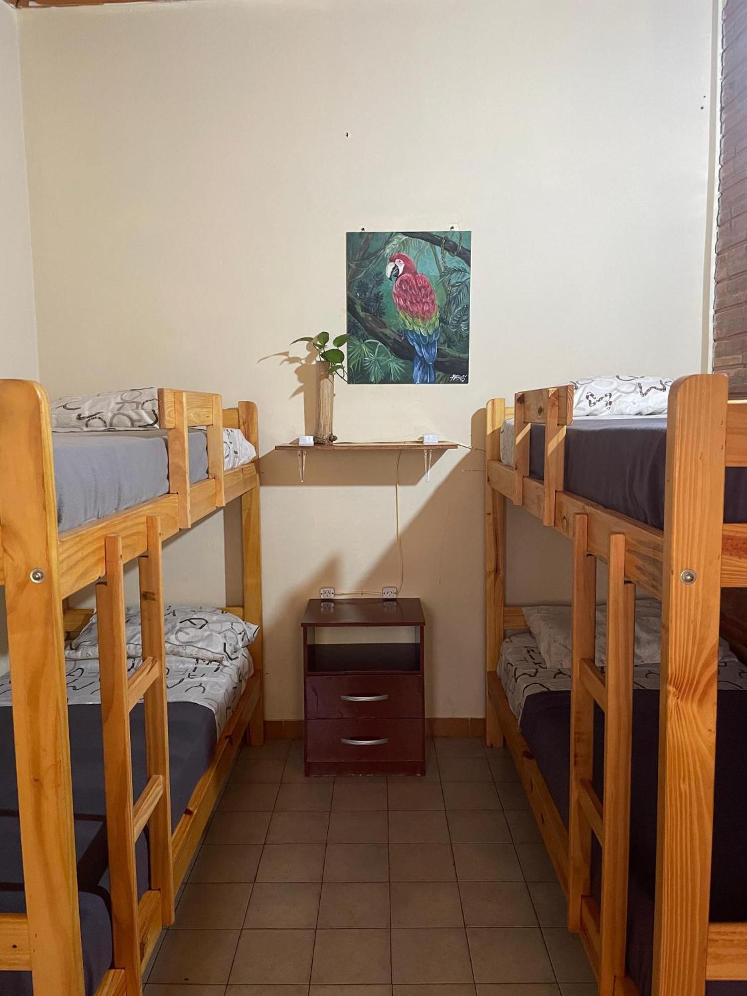 Bungalow Hostel Iguazu Puerto Iguazu Bagian luar foto