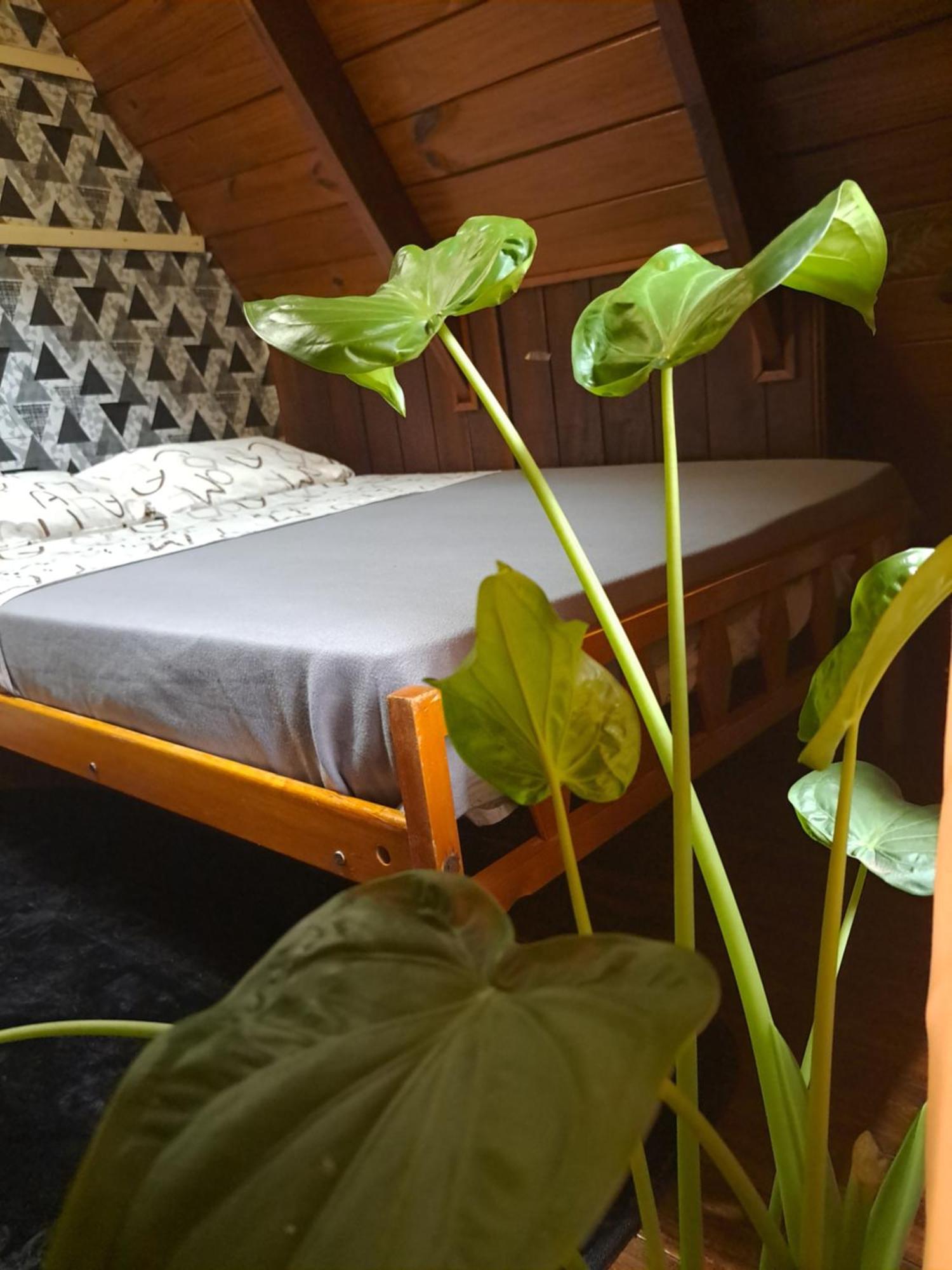 Bungalow Hostel Iguazu Puerto Iguazu Bagian luar foto